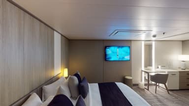 Accessible Deluxe Inside Stateroom