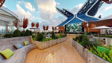 Rooftop Garden